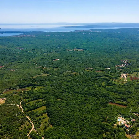 Luxury With A Swimming Pool Garica, Krk - 17469 Villa Risika